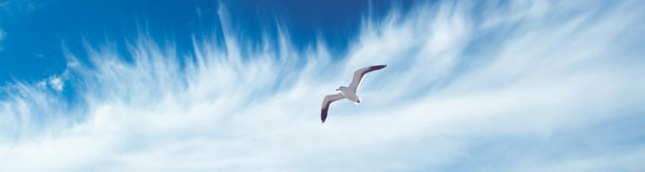 #30DayMapChallenge: Air